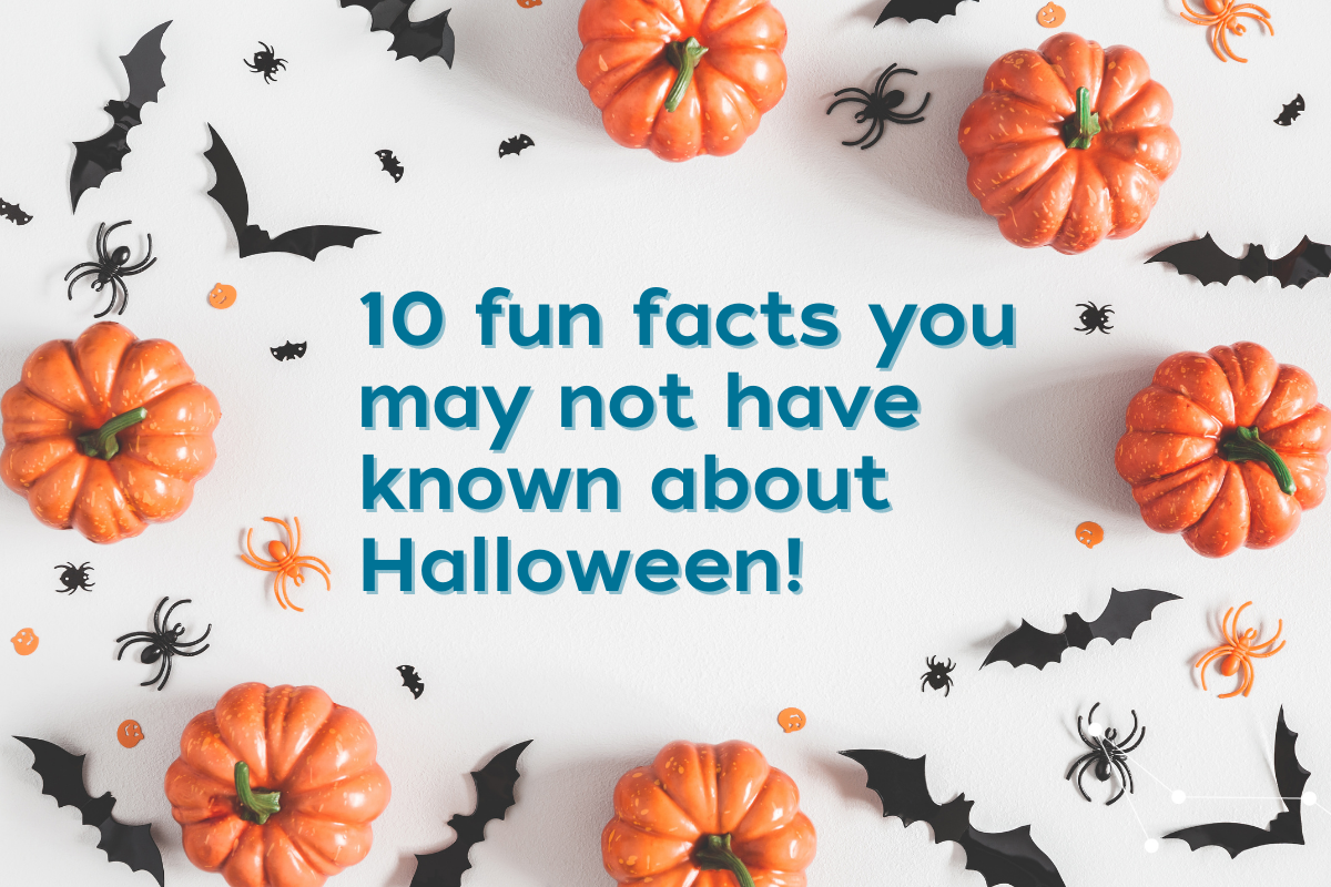 6 orange pumpkins placed around the backdrop with black bats and black and orange spiders on a grey background