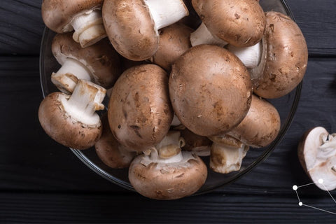 Mushrooms are the richest natural plant source of vitamin D