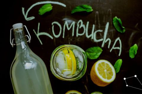 Kombucha: a systematic review of the empirical evidence of human health benefit