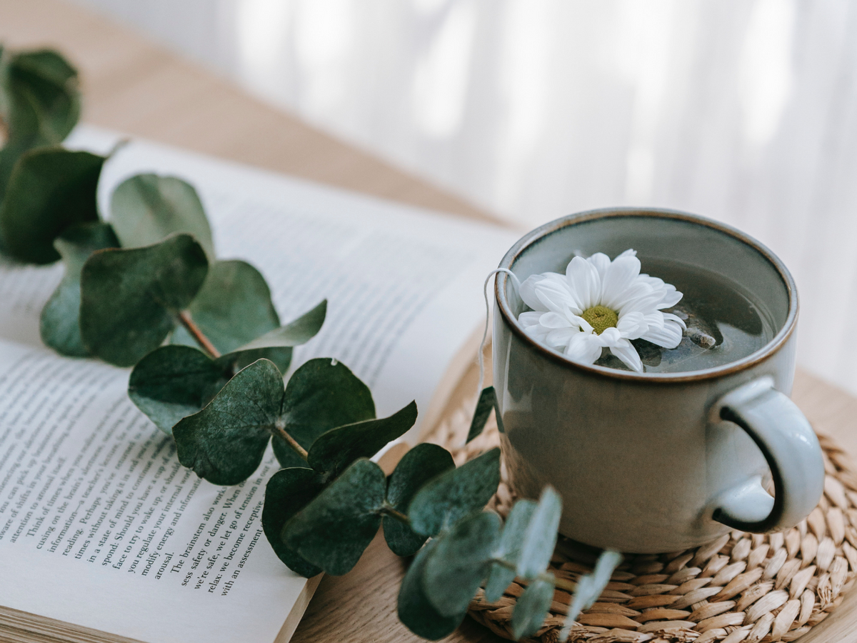 Wooden desk with a grey mug of tea on a coster with an open book and a plant