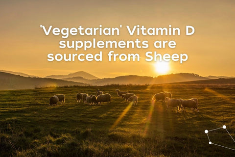 Vegetarian Vitamin D supplements are sourced from Sheep