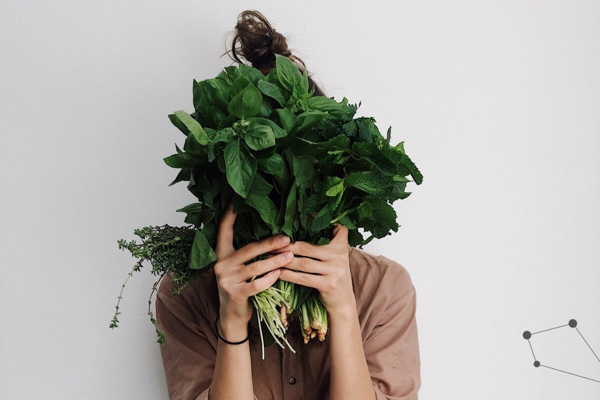 Vegetarians might require 50% more dietary zinc than non-vegetarians