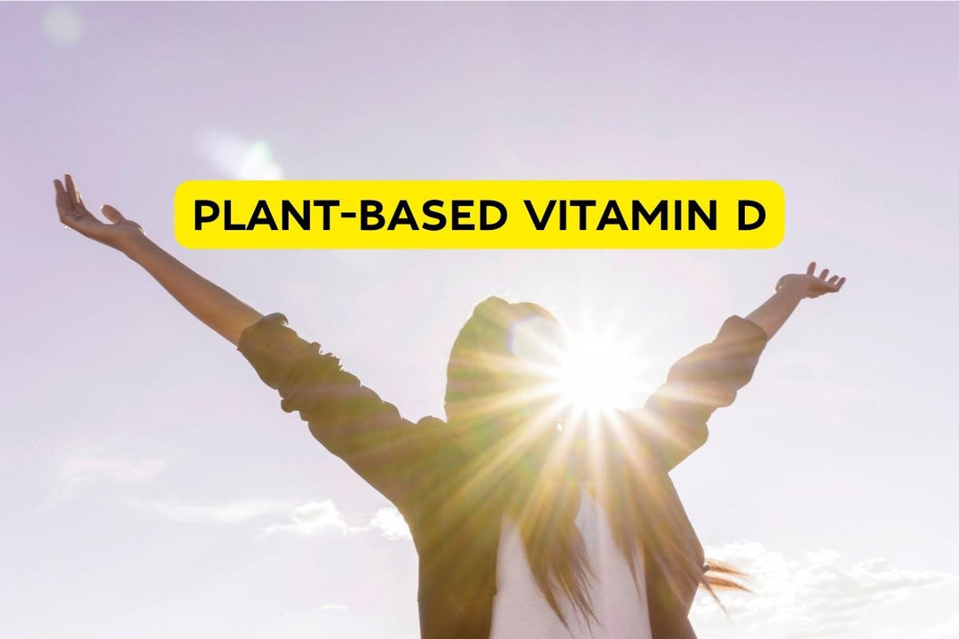 Vitashine™ - Vegan & Vegetarian Vitamin D3 – IMUNI